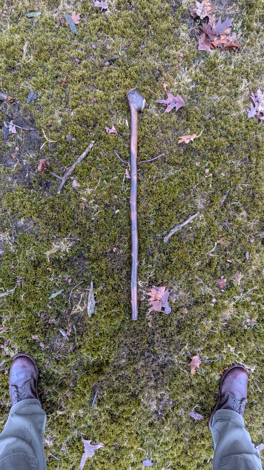 Michigan hardwood walking stick