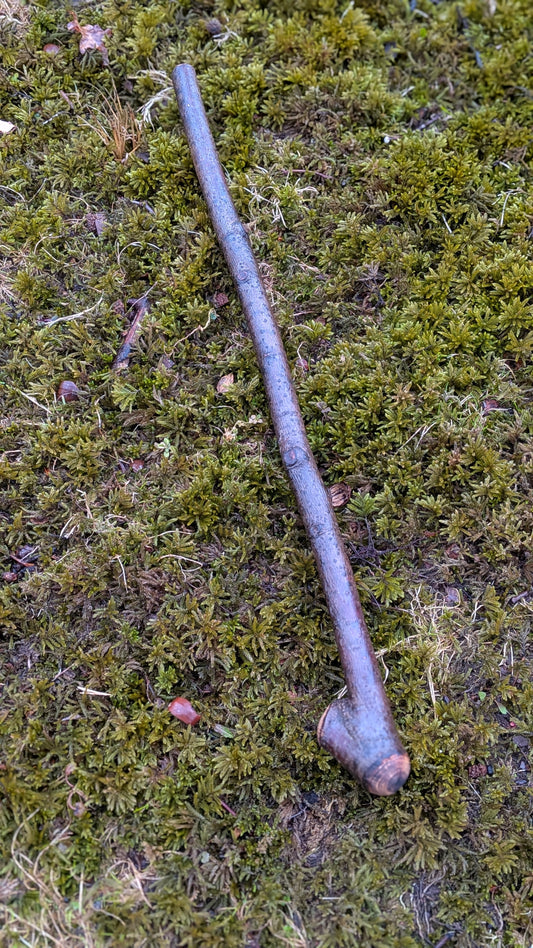 Michigan hardwood shillelagh (display only)