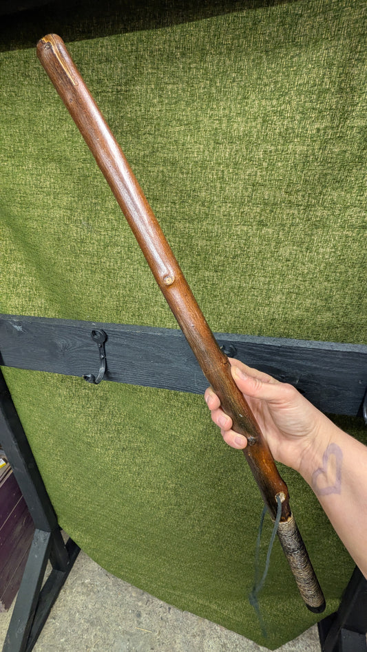 Autumn Olive Truck Stick