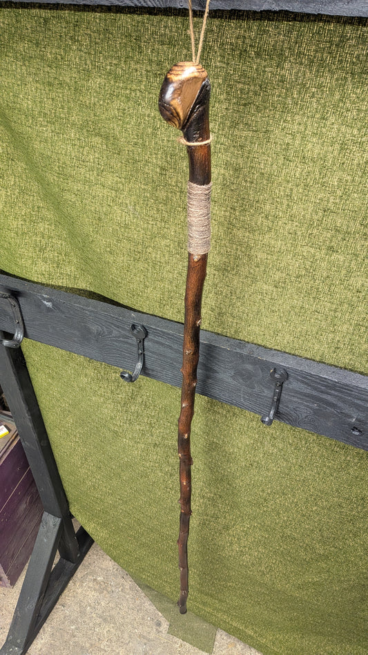 Autumn Olive Knob end walking stick