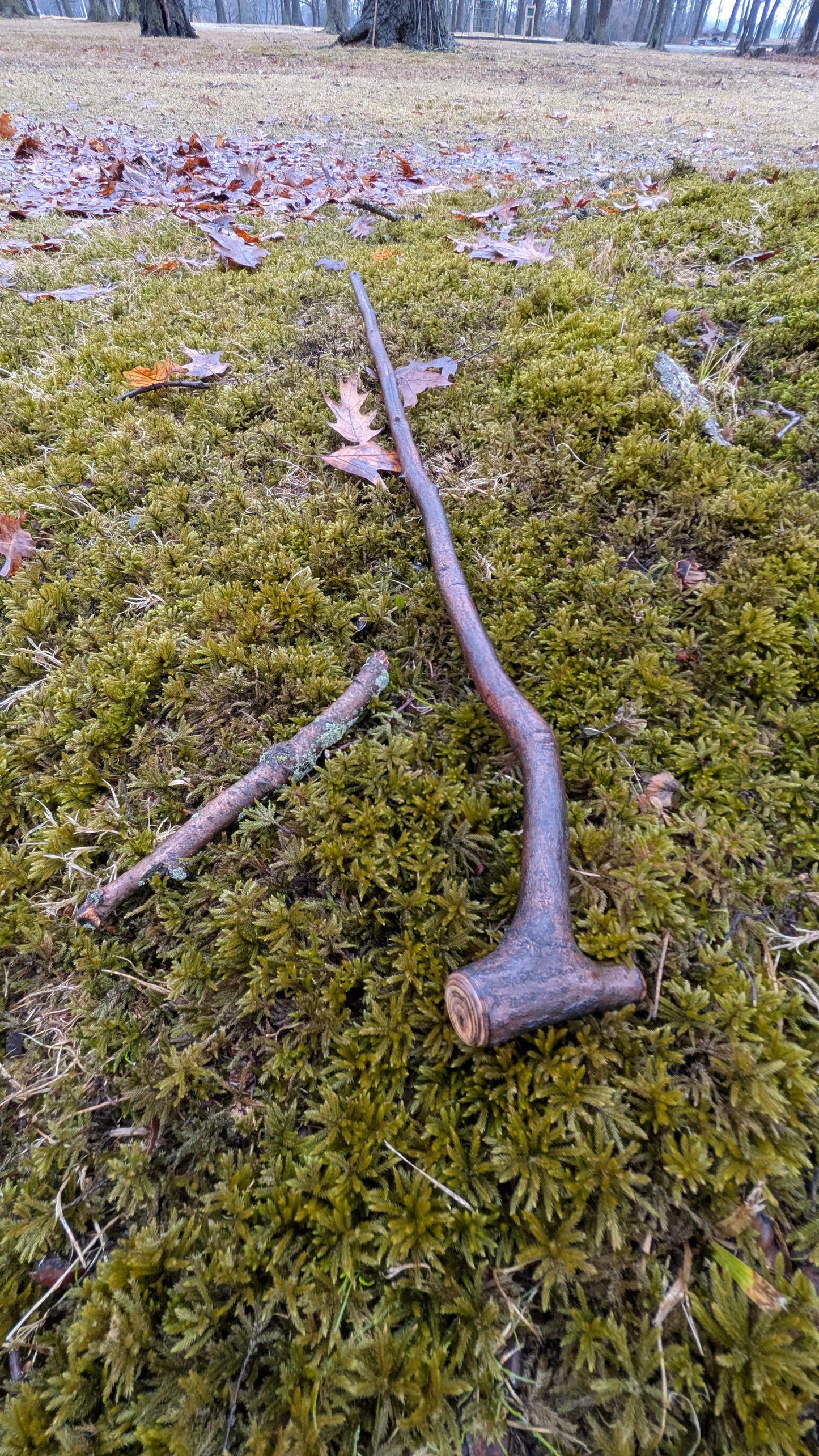 Serviceberry Michigan hardwood walking stick